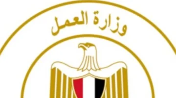 وزارة العمل تطلق خدمة كعب العمل الرقمي مجانا لدعم التوظيف في مصر